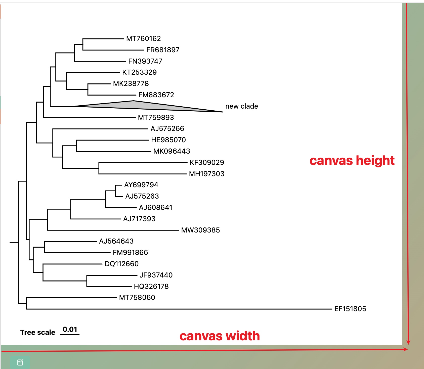 canvasSetting-1